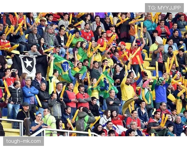 主场观赛热情高涨，球迷齐聚助威彰显足球魅力