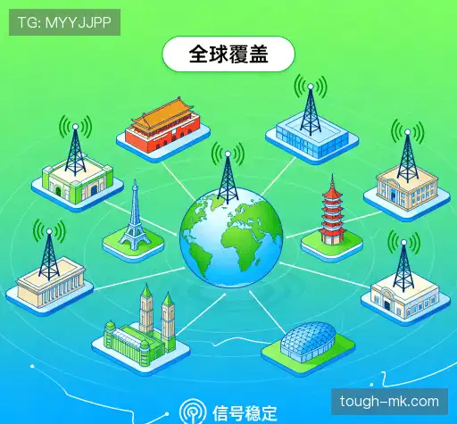 我们的关键优势